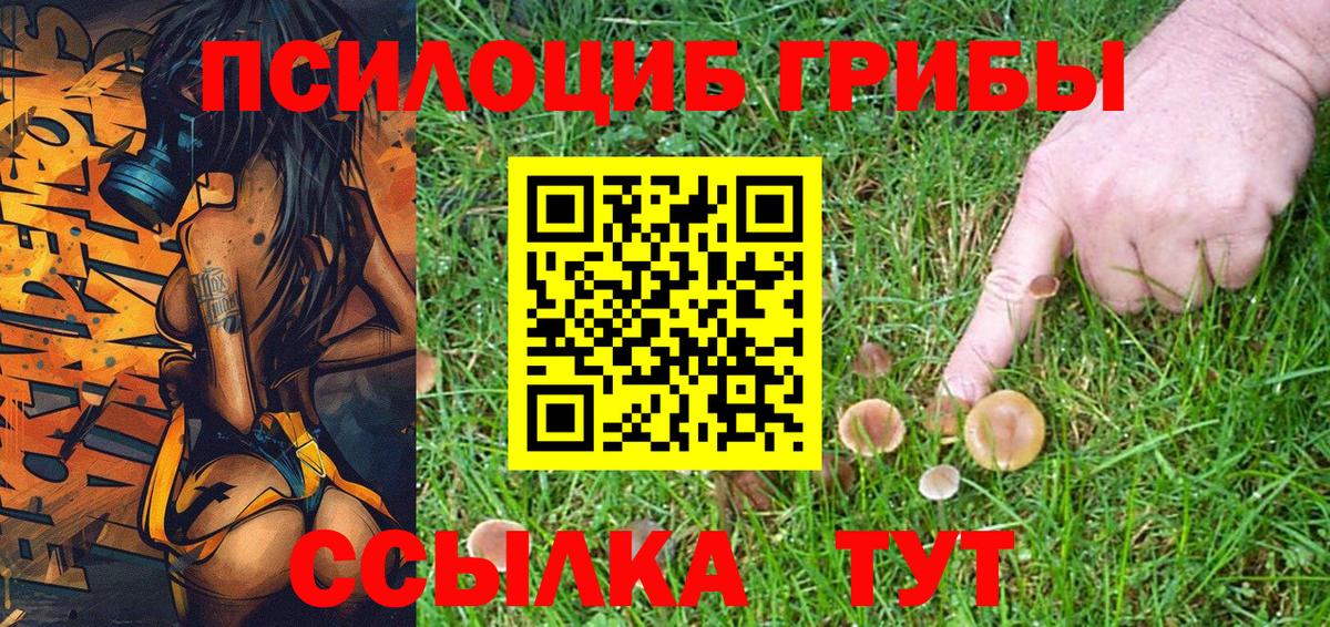 Галлюциногенные грибы MAGIC MUSHROOMS Севастополь